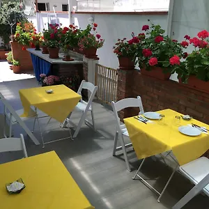 Rosa Dei Venti *** Viareggio